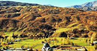 Muş Ücevler 1800 rakımda karsız yeşil vadi